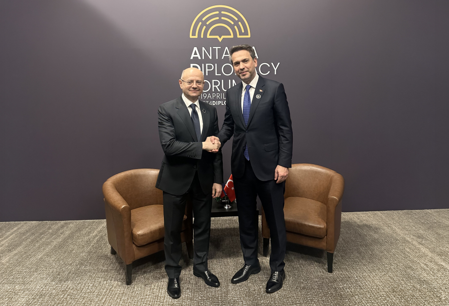 Azerbaijan’s Energy Minister holds several meetings in Türkiye