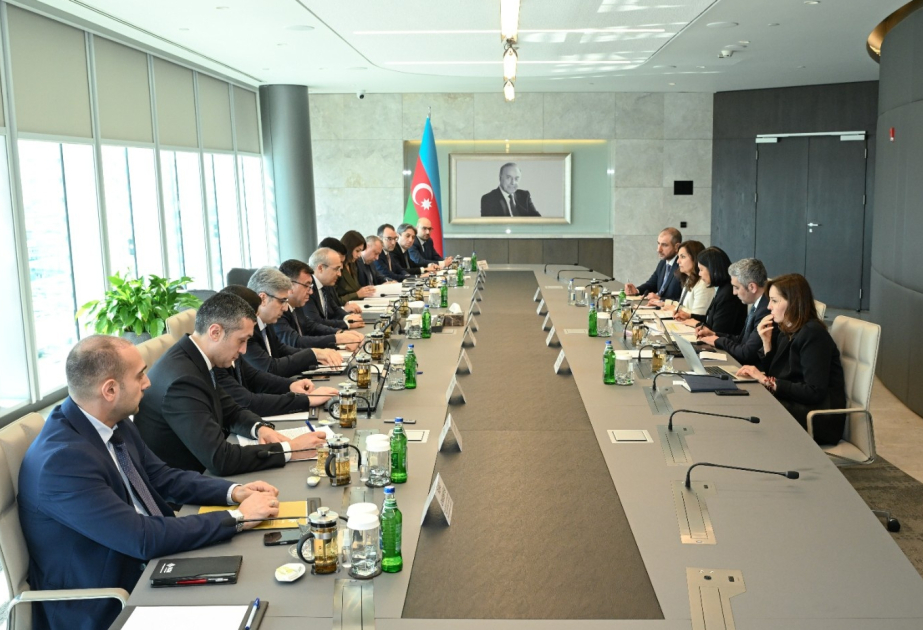 Azerbaijan, Asian Development Bank review opportunities for promoting public-private partnership