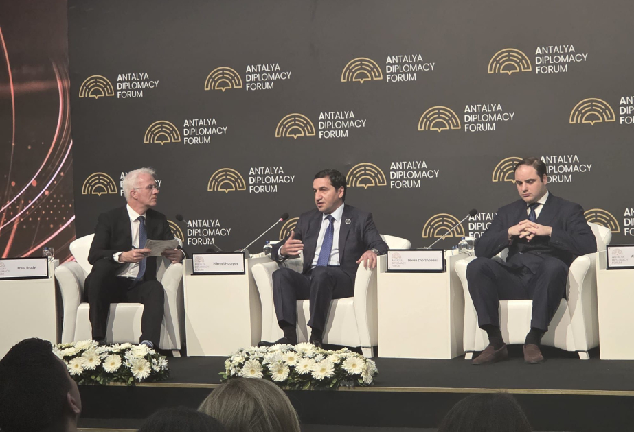 Помощник Президента: Азербайджан – страна с многогранной геополитической идентичностью