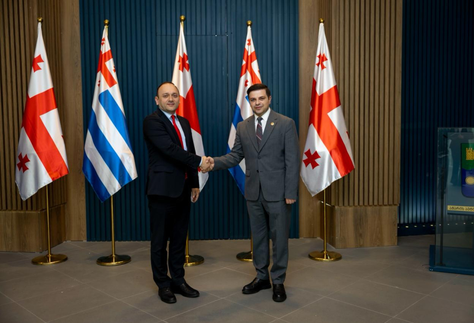 Azerbaijan, Georgia expanding regional cooperation