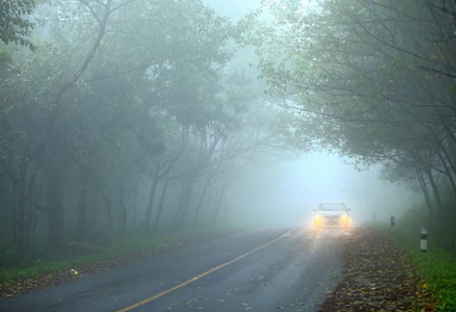 Видимость на некоторых автомагистралях завтра будет ограничена до 500-1000 метров
