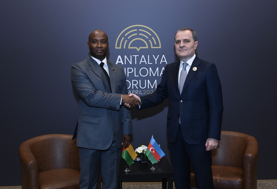 Azerbaijan attaches special importance to further developing relations with African countries