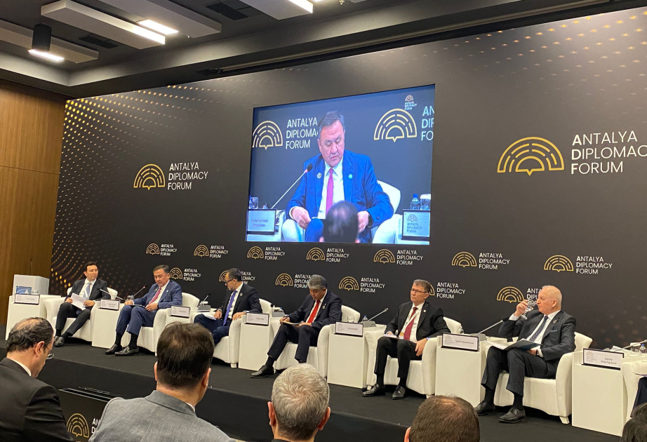 TDT-Generalsekretär: Baku-Turkologie-Kongress war historischer Meilenstein der türkischen Integration