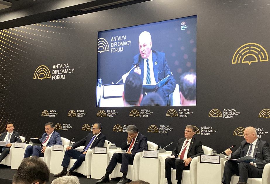 Mustafayev: Wichtige Entscheidungen beim Turkologie-Kongress für die Zukunft der türkischen Welt getroffen