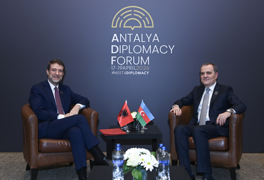 Azerbaijani and Albanian FMs discuss role of dialogue and diplomacy in addressing security challenges