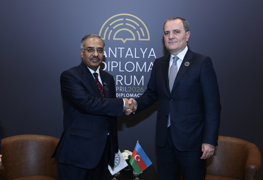 Azerbaijan’s active role within D-8 praised