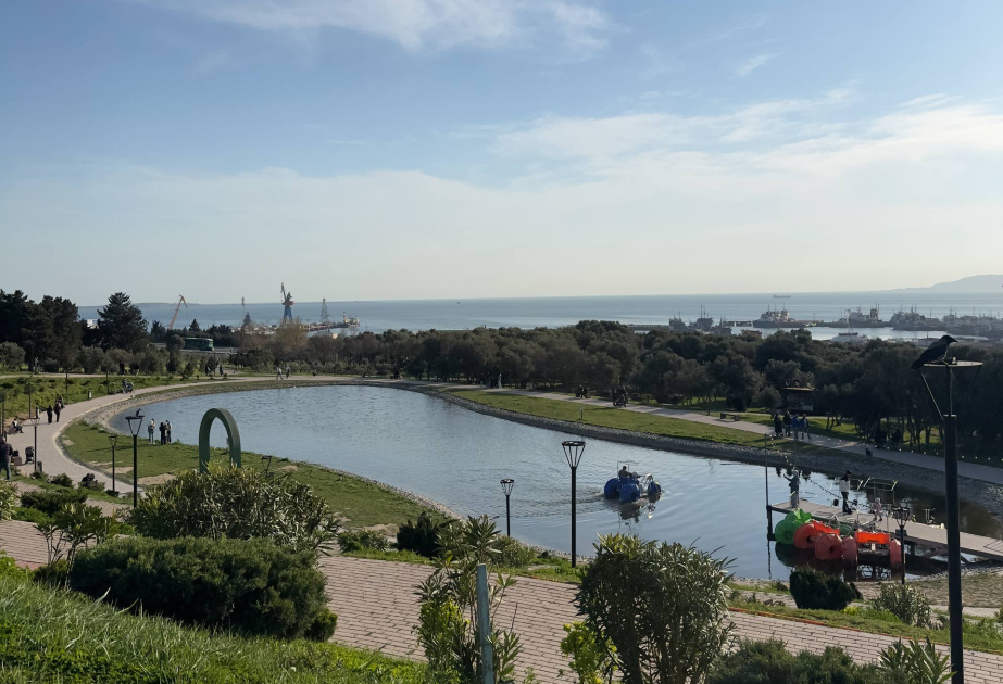 Там, где город «дышит»: один день в парке вдали от центра ФОТОРЕПОРТАЖ