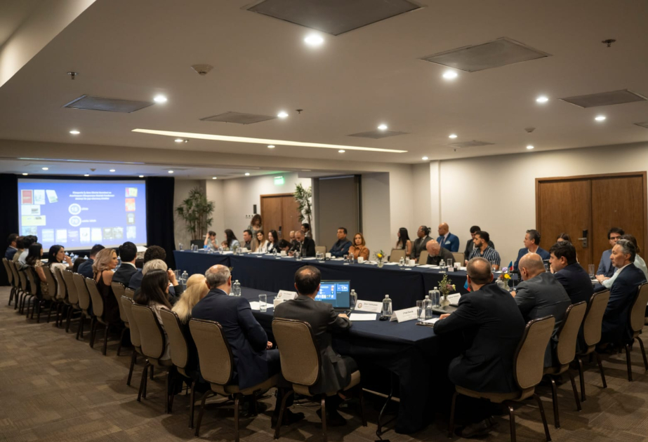 Committee chairman: World Azerbaijanis are effectively representing the country on various international platforms