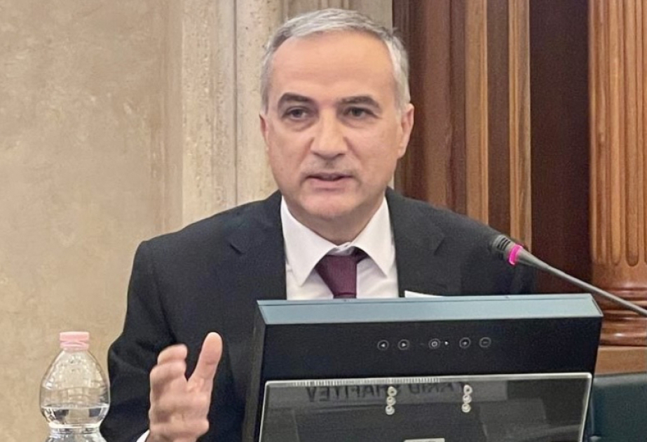Director de AIR Center:”Azerbaiyán actúa como una puerta clave que conecta Asia Central con los mercados globales”