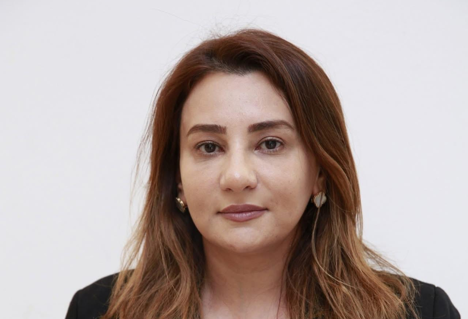 Türk dünyasında əməkdaşlıq: Azərbaycanın rolu və inkişaf perspektivləri