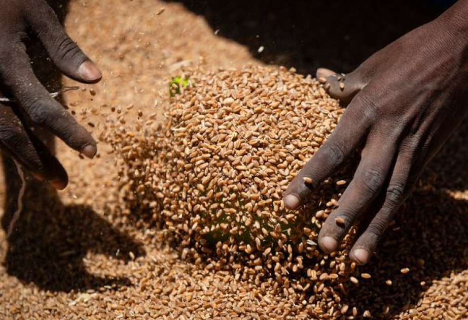 Time running out on development goals as finance dries up, UN warns