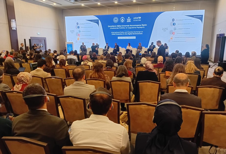 Azerbaijan joins international discussions on protection of children in digital environment