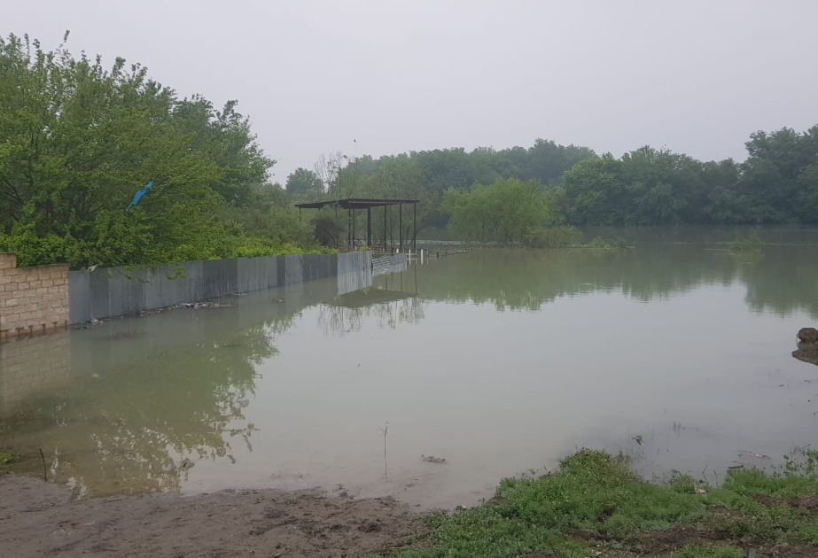 В Зардабе повысился уровень воды в Куре, ситуация под контролем - глава комиссии