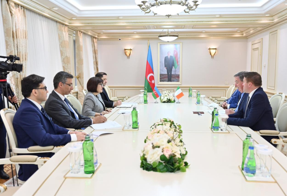 İrlandiya parlamentariləri Azərbaycanın demokratik inkişafı barədə məlumatlandırılıb