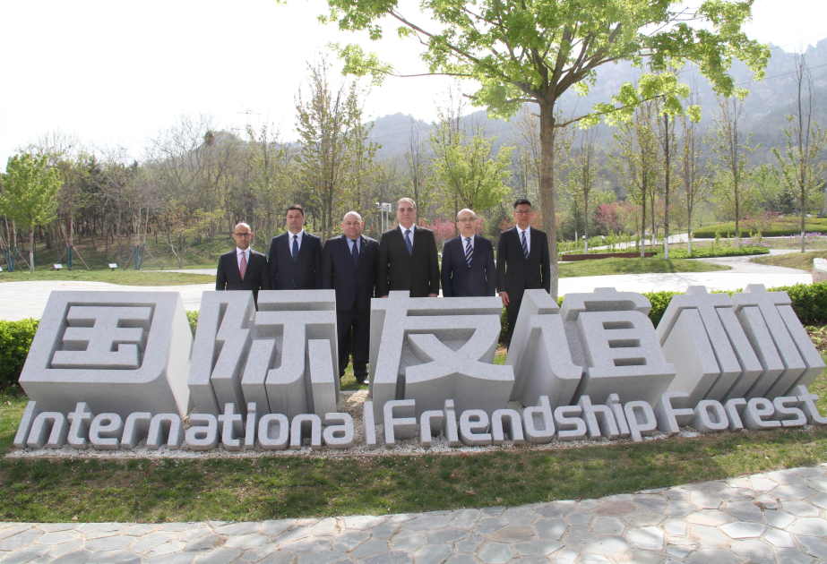 Azerbaijan delegation plants trees in Qingdao during cooperation visit