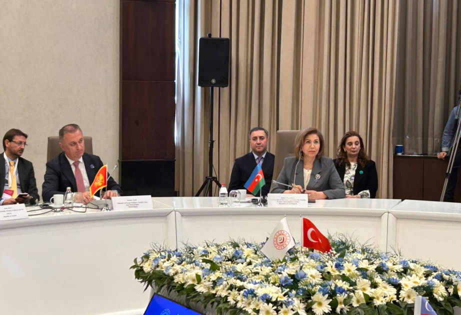 Bahar Muradova: It is possible to ensure a safer digital space for children