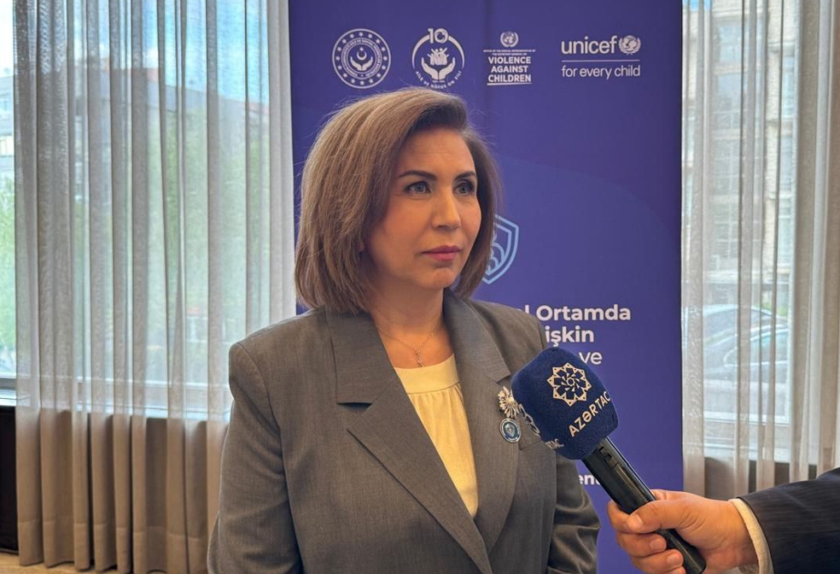 Bahar Muradova: Sosial şəbəkələrin zərərlərinin aradan qaldırılması üçün səyləri birləşdirməliyik