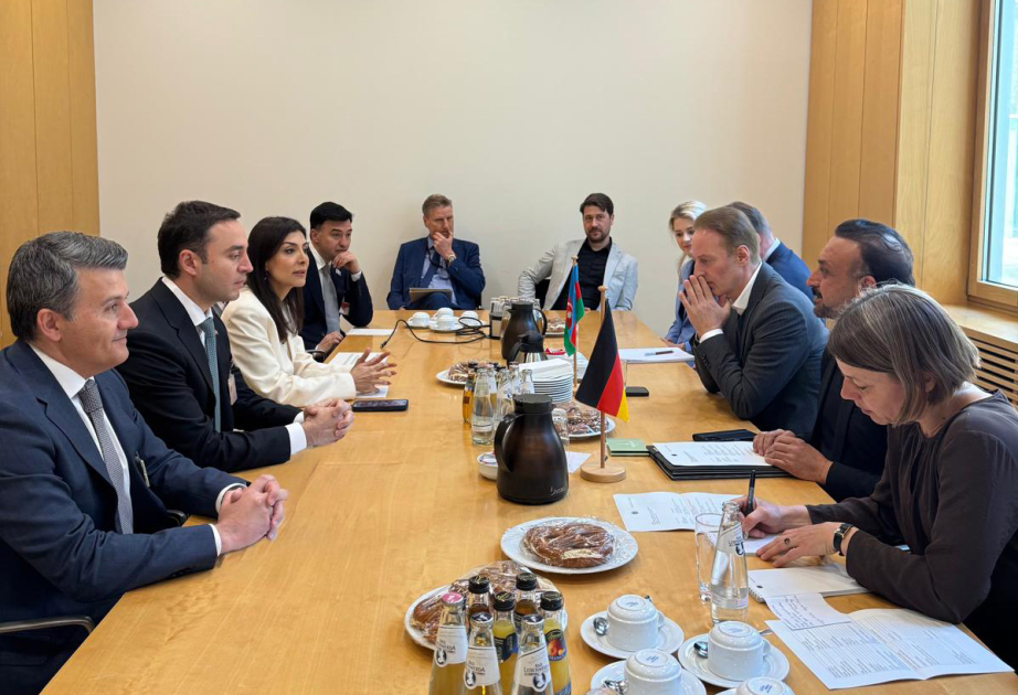 Delegation of Azerbaijan’s Milli Majlis holds several meetings with members of German Bundestag