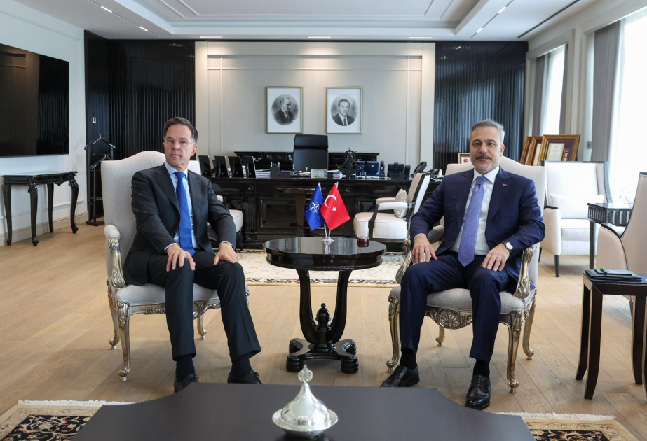Turkish Foreign Minister meets NATO chief