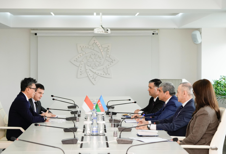Azerbaijan, Indonesia discuss cooperation in social protection