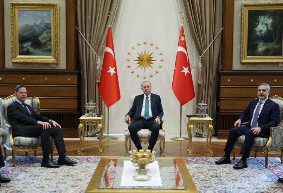 Rəcəb Tayyib Ərdoğan: Türkiyə özünü sülhün və diplomatiyanın tərəfdarı kimi mövqeləndirir