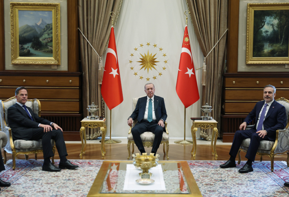 Turkish president, NATO chief discuss Ankara summit preparations, alliance agenda