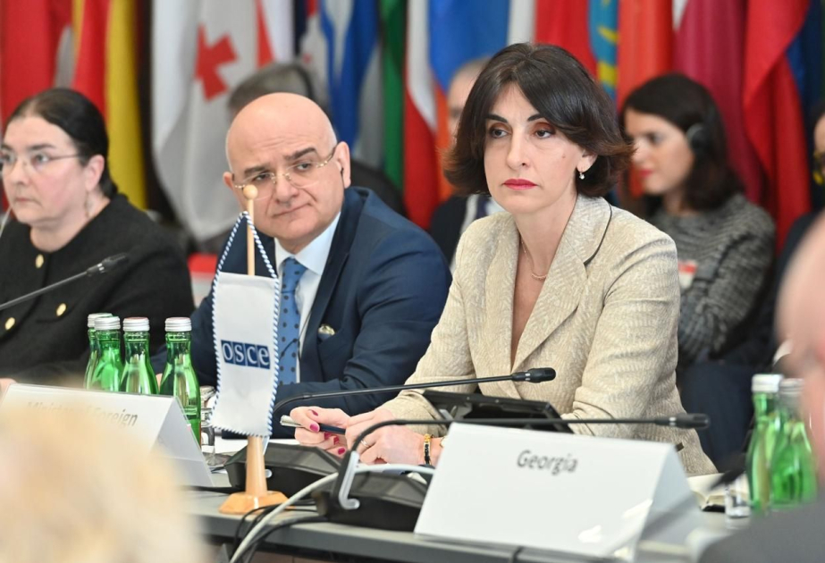 Gürcüstan ATƏT-in Təhlükəsizlik Əməkdaşlıq Forumunun sədri olub