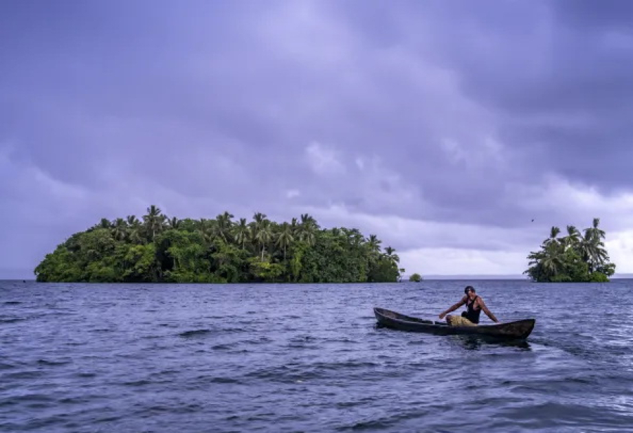 UNESCO sites offer a lifeline to biodiversity, new report shows