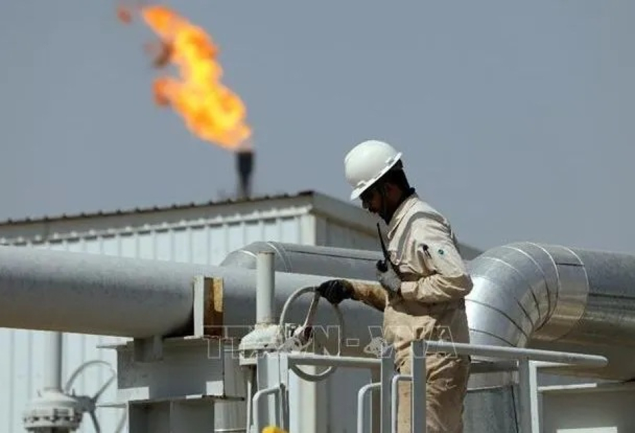 IEA's Birol warns of 'biggest energy security threat in history'