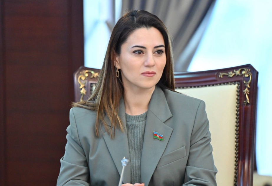 Yalnız tarixi həqiqətə hörmət və açıq dialoq regionda dayanıqlı gələcəyin əsasını təşkil edə bilər  ŞƏRH