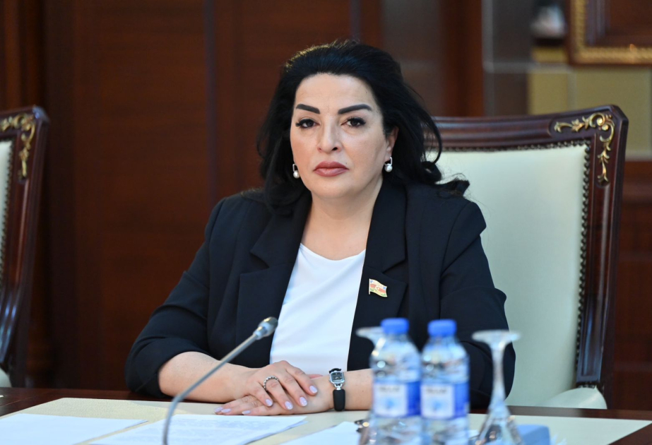 Azərbaycan-Latviya münasibətləri yeni strateji istiqamətlər üzrə inkişaf edəcək  ŞƏRH