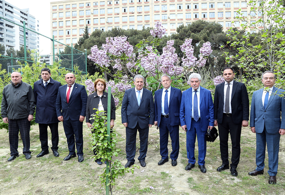 Akademiya şəhərciyindəki Nadir ağaclar parkı artıq öz bəhrəsini verir
