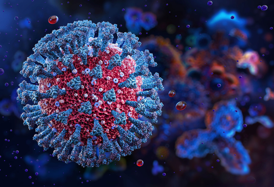 Kenyan bat coronavirus uses human CEACAM6 to enter cells, raising spillover concerns