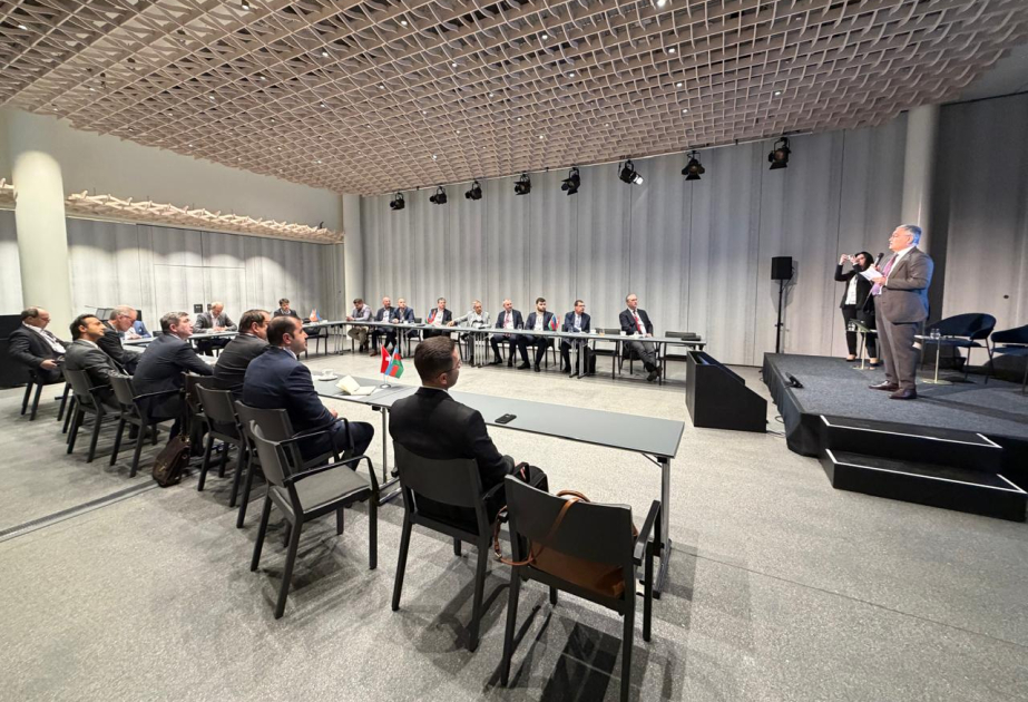 İsveçrədə Azərbaycanın biznes və investisiya potensialı tanıdılıb