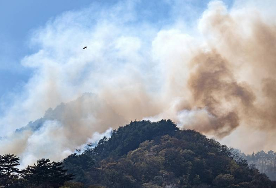 Hunderte Feuerwehrleute kämpfen gegen Waldbrände in Nordjapan und im österreichischen Kärnten