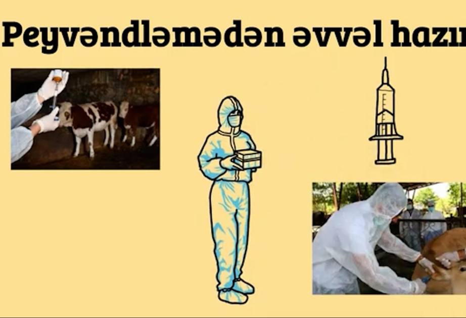 AQTA heyvanların peyvəndlənməsi ilə bağlı videoçarx hazırlayıb