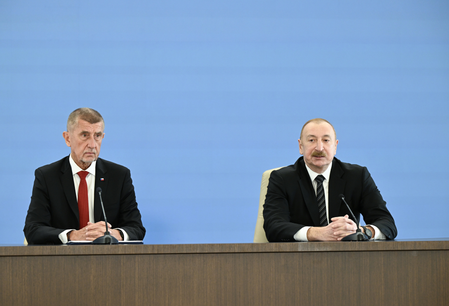 President: We are actively developing the renewable energy sector with huge potential in Azerbaijan