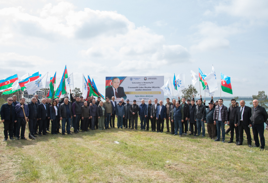 Abşeron rayonunda 1200 ədəd Eldar şamı ağacı əkilib