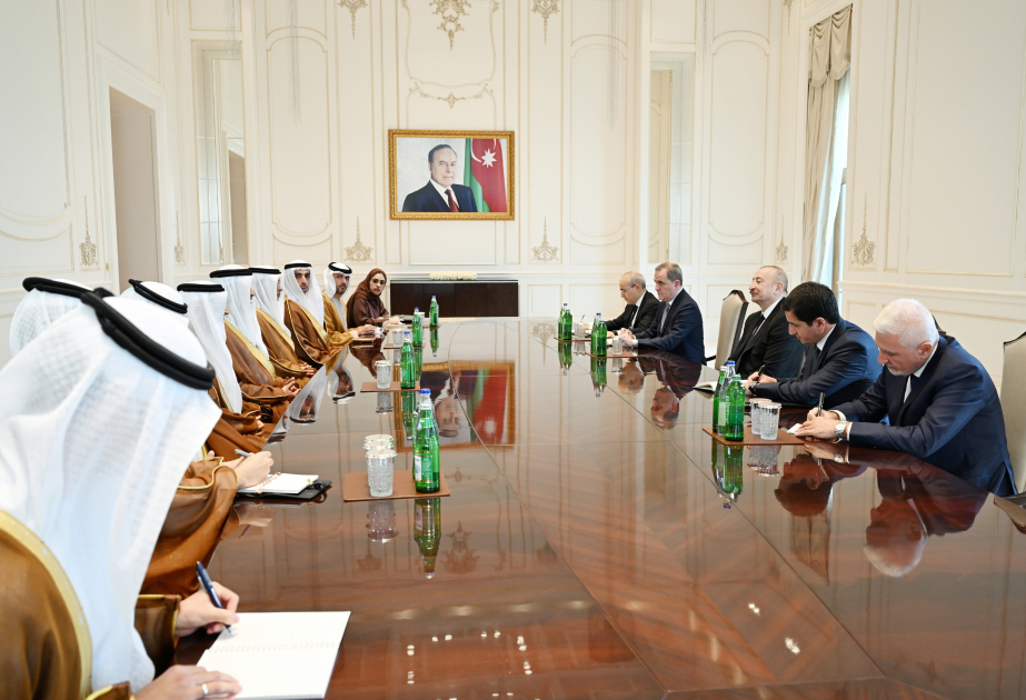 President of Azerbaijan Ilham Aliyev received delegation from the United Arab Emirates VIDEO