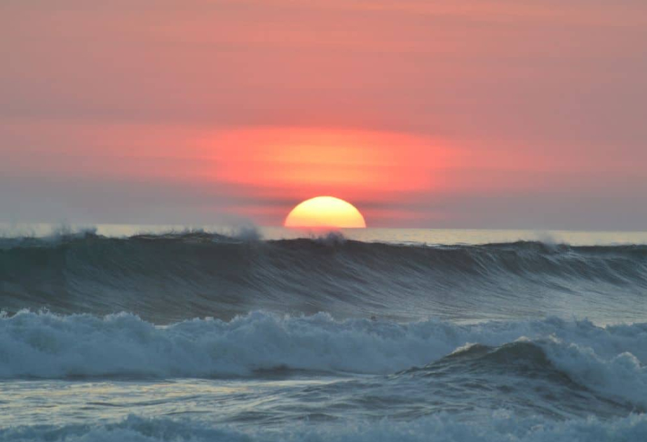 Over 10% of world's oceans now under protection