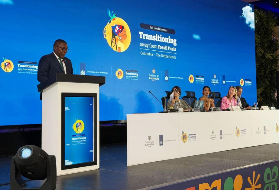 BMT-nin iqlim liderləri Kolumbiyada bərpaolunan enerjinin gələcəyi ilə bağlı müzakirələr aparıblar