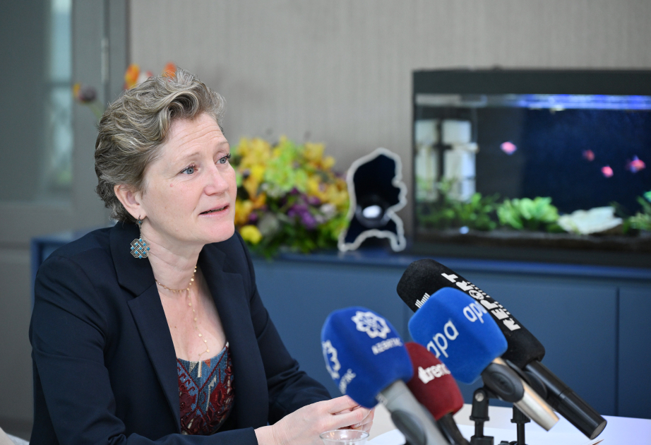L'ambassadrice des Pays-Bas apprécie beaucoup les efforts de paix de l'Azerbaïdjan avec l'Arménie