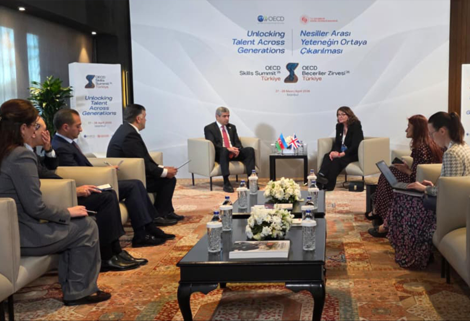 Azerbaijani delegation attends Skills Summit in Istanbul