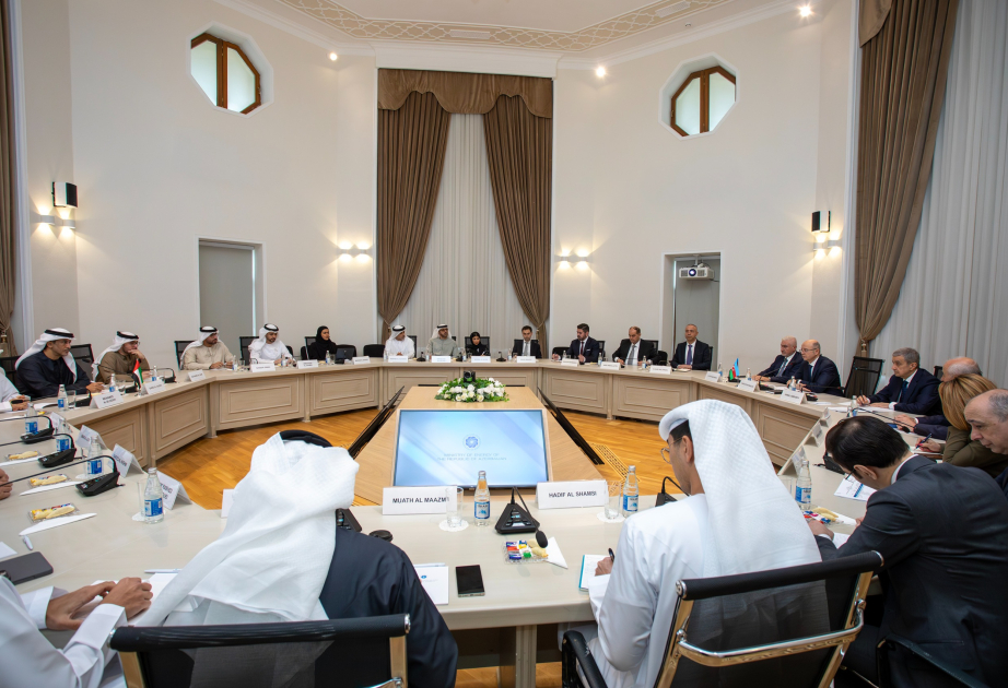 أذربيجان والإمارات تبحثان مشاريع الطاقة الاستراتيجية