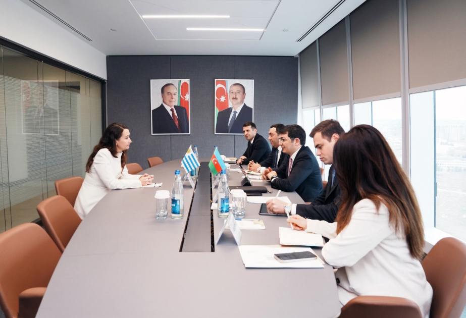Aserbaidschan und Uruguay erörtern Zusammenarbeit bei Logistik und Investitionen
