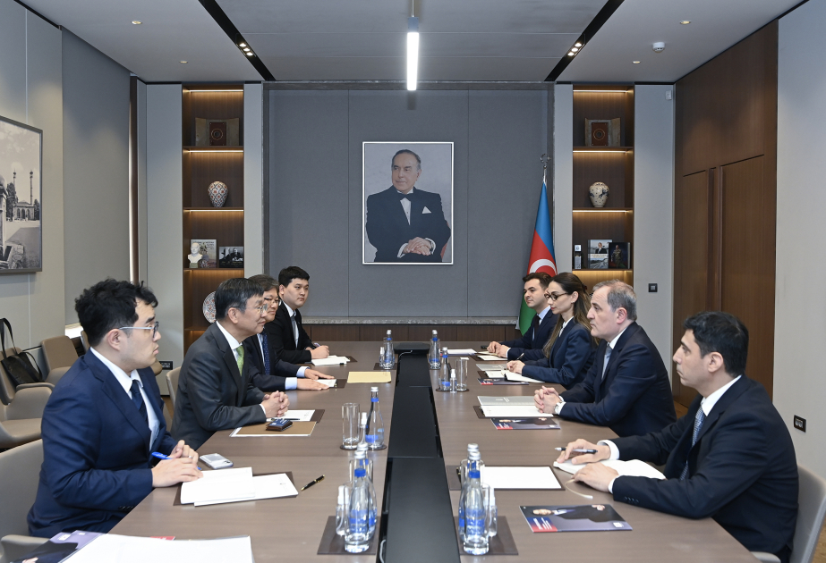 Minister: Azerbaijan takes comprehensive approach to election of judges to International Court of Justice