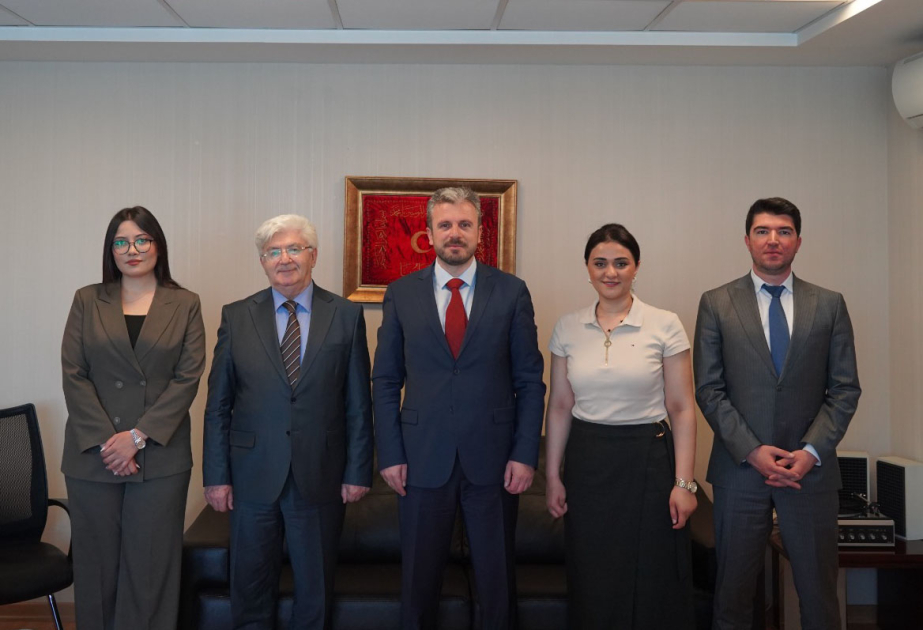 TDT daxilində mühasibat və müstəqil audit qurumu yaradılacaq