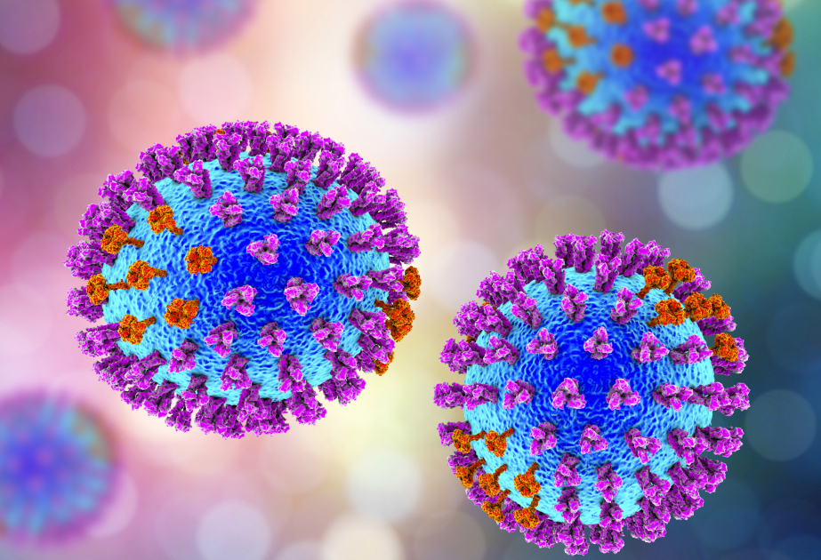 Scientists update list of viruses dangerous to humans