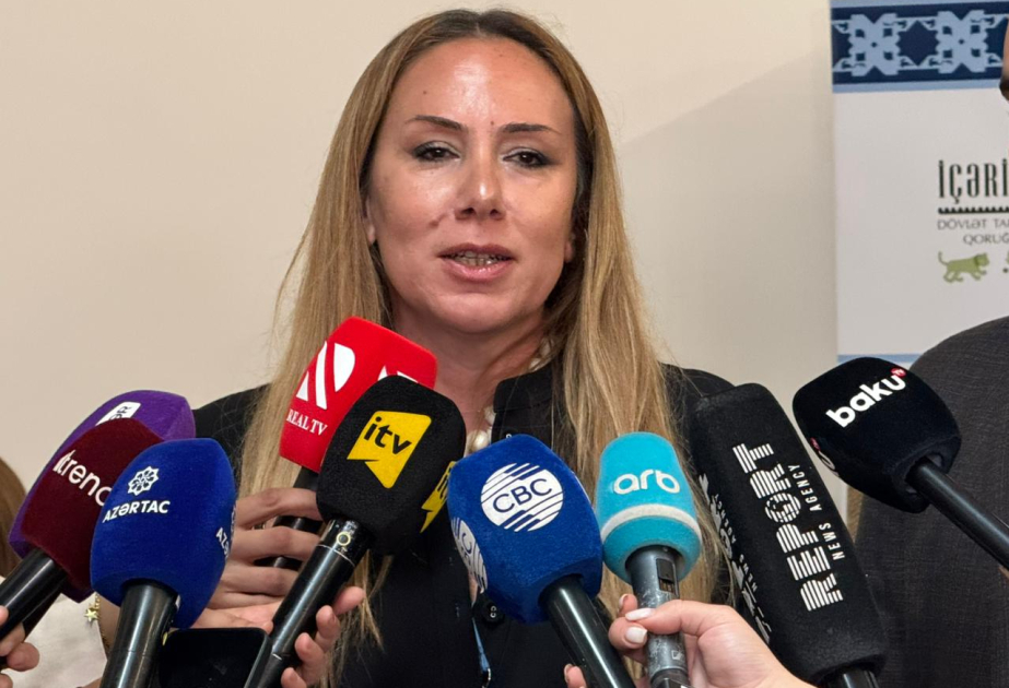 المديرة الإبداعية لشركة سجاد أذربيجان: منتدى السجاد الدولي في باكو يجمع خبراء من 12 بلدا