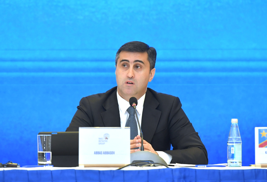 Baku-Initiativgruppe zieht Zwischenbilanz